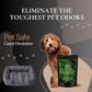 Peppermint Carpet Freshener Powder: Powerful Odor Eliminator for Home, Upholstery Deodorizer, Carpet Deodorizer, Pet Urine, Cat Litter Box - Peppermint Fragrance