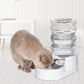 RIZZARI Pet Water Bowl Dispenser: 4L Automatic Stainless Steel Gravity Feeder - Large Capacity Ideal for Cats and Small Dogs - Indoor and Outdoor Hydration