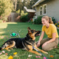 Dog Tie Out Cable and Stake for Yard,(up to 200lbs) 360°Swivel Run Anchors- No Tangle,with 30FT Heavy Duty Tie Out Cable for Dogs,Dog Runner for Yard,Ideal for Outdoor Camping