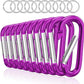 sprookber 3" Aluminum Carabiner D Ring, Caribeener Clips, Spring Snap Hook for Keychain Clip, Set of 10