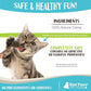 Raw Paws Catnip & Silvervine Lollipops Interactive Cat Toy (6 Pack) - Silvervine Sticks for Cats - Catnip Ball Toy - Fresh Cat Nip - Silver Vine Dental Sticks