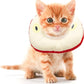 Kitten Cones After Surgery 0-6 Months, Donut Extra Small Kittern Cone Collar Soft to Stop Licking Neck, Elizabethan e Collar for Recovery (S for Kitten [Neck: Up to 7.5"] - Apple)