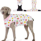 Recovery Suit for Dogs After Surgery, Professional Dog Surgical Suit for Female Spay, Male Neuter, E-Collar & Cone Alternative Dog Onesie for Abdominal Wounds Skin Disease, Jellyfish, L
