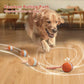 Interactive Dog Toys, Random Path Electric Automatic Moving and Rolling Dogs Toy with Rope for Small Medium Large Dogs, Motion-Activated Dog Stimulation Toy for Boredom Relief (Orange)