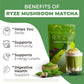 RYZE SUPERFOODS Mushroom Matcha Starter Kit, USDA Organic with 6 Adaptogenic Mushrooms and Ceremonial-Grade Matcha, Energy, Focus, Digestion, Immunity with Turkey Tail, Shiitake, Reishi, 60 servings