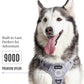 2025 New Edition, Fei & Eve MagEase Dog Harness - 3-Second Magnetic Buckles | 3-Point No-Pull Control | Heavy-Duty 900D Nylon | Dual Safety Handles | Breathable Mesh | Adjustable Fit | X-Large, Gray