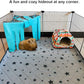 RIOUSSI Guinea Pig Hideout Hideaway Corner Fleece Toys Cage Accessories with Reversible Sides, Geo/Gray+Blue, 2 Pack