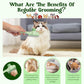 Pet Hair Removal Comb Flea Comb, 2025 New Cat Grooming Brush with Release Button, De-Shedding Cat Brush for Short and Long Hair Cats (Green)