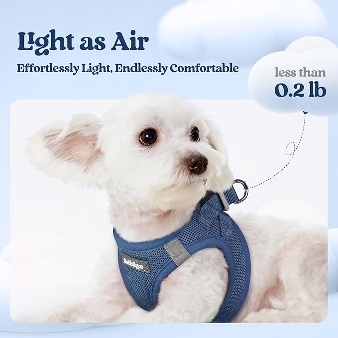 rabbitgoo Dog Harness Small Medium Sized and Leash Set, Step in Soft Light Puppy Vest, Breathable Mesh Pet Harness, Reflective for Safe Outdoor Walking, Navy Blue L