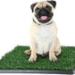Artificial Grass Puppy Pee Pad for Dogs and Small Pets - 16x20 Reusable 3-Layer Training Potty Pad with Tray - Dog Housebreaking Supplies by PETMAKER
