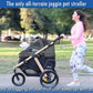 Run Performance Jogging Sports Stroller with Comfort Rubber Wheels/Zipper-Less Entry/1-Hand Quick Fold/Aluminum Frame for Small/Medium Dogs, Cats and Pets (Black)