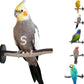 Superoost Manzanita Pumice Pedicure Perch- Easy to Install Bird Cage Accessories for Healthy Feet, Nails and Beak - Natural Bird Perches Imitates Birds' Life in The Wild - S 8"