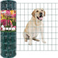 Green PVC Coated Welded Wire Fence 24 Inch x 50 Foot, 2 Inch x 3 Inch 16GA, Garden Border Fencing Roll Vinyl Coating Metal Wire Mesh for Yard Vegetable Plant Protection Poultry Netting