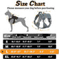 rabbitgoo Dog Harness for Large Dogs No Pull, Tactical Service Pet Vest with Molle and Control Handle, Adjustable and Reflective Military Harness for Easy Walking and Training, Grey, L