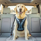Thickened Dog Seat Belt for Car, 3 Pack Set Retractable Dog Car Leash Adjustable Dog Seat Belt for Vehicle Nylon Pet Safety Seat Belts Heavy Duty & Elastic,Seat Belt for Large Dogs in Car, Black