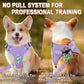Dog Harness Step in Dog Vest Harness, Reflective Adjustable Puppy No Pull Harness Breathable Soft for Small and Medium Dogs Cats, Violet Purple, S