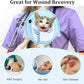 Cat Recovery Collar Adjustable Breathable Lightweight Cat Cone Protective Cats to Stop Licking Scratching After Surgery for Cats Kittens Pets