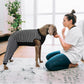 Kuoser Dog Recovery Suit, Anti Licking Dogs Rear Leg Sleeve, Abdominal Dog Surgical Suit with Pants Cover Protect Wounds, Dogs Elbow Protector Soft Pet Surgery Onesie Cone Alternative, Black 2XL