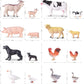 35 PCS Farm Animals Toys for Toddlers 3 Years Old Boys and Girls Realistic Animal Figures Playsets Toys for Kids 3~8 Christmas Birthday Gift