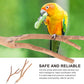 2pcs Bird Parrot Perch Stand Poles, Natural Wooden Parrot Perch for Cage, Branches Fork Rod for Small Parakeets Cockatiels Conure Lovebirds Bird Cage Accessories