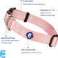 Blueberry Pet Essentials Small Dog Collar in Baby Pink | Adjustable & Eco-Friendly Durable Nylon Strap | Classic Collar for Small Dogs, Boy & Girl Pets