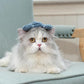 Interactive Catnip Cat Plush Toy, Ocean Theme, 5'', for All Breed Size Cats (Crab)