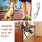 Hotop 20 Pcs 2.75 Inch Double Ended Bolt Snaps Hooks Zinc Alloy Trigger Chain Metal Clips Key Holder for Linking Key Chain Dog Leash Collar Pet Sling Feed Buckets(Silver)