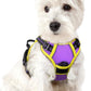 rabbitgoo Dog Harness No Pull with 2 Leash Clips, Adjustable Soft Padded, Reflective Oxford No Choke Pet Vest with Easy Control Handle for Puppy, Purple & Yellow, XS