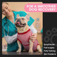 FUAMEY Dog Recovery Suit Male,Dogs Surgery Neuter Suits Puppy Spay Shirts for Female Protect Dog's Skin Anti Licking Abdominal Wounds Doggie Onesie Pet Bodysuit Alternative to Cone Red Stripes L