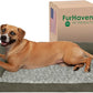 Furhaven Cooling Gel Dog Bed for Large/Medium Dogs w/ Removable Bolsters & Washable Cover, For Dogs Up to 55 lbs - Two-Tone Plush Faux Fur & Suede L Shaped Chaise - Dark Sage, Large