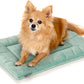 KindTail Dog Crate Pad - Soft Velvet, Reversible Bed - Machine Washable Kennel Mat for Pets up to 15 lbs, Mattress for Cozy Sleeping - 20” x 15” x 1” (Light Green, Small)