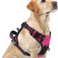 PUPTECK No Pull Dog Harness for Large, Adjustable Reflective Dog Harness with Handle Easy Control, Comfortable Soft Padded Pet Vest Harness for Large Dogs, Fuschia L