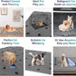 Washable Pee Pads for Dogs + Free Puppy Grooming Gloves/Quilted, Fast Absorbing Machine Washable Dog Whelping Pad/Waterproof Puppy Training Pad/Housebreaking Absorption Pads