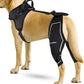 Comfortable Dog Knee Brace for Both Hind Legs with Harness - for ACL Tear, Luxating Patellae, Osteoarthritis & Instability - for Recovery & Injury Prevention in Active/Aging Dogs - (XSmall)
