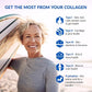 BioTrust Collagen Powder with Turmeric – 5 Types (I, II, III, V, X) – Turmeric Collagen Powder for Women & Men – Hydrolyzed Protein – Grass Fed Beef, Fish, Chicken, Eggshell Membrane (Golden Milk)