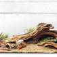 AZV Reptile Terrarium Tank,Versatile Enclosure for Leopard Crested Gecko,Lizard Cage,Spider Starter Kit,Hermit Crab Habitat,Tarantula Cribs,Perfect Aquarium for Snake,Frogs,Snails,Insects,Small Pets