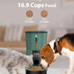 Petory Timed Automatic Cat Feeders - 4L Programable Dry Food Dispenser for Cats and Small Medium Dogs 6 Meals with Desiccant Bag Dual Power Supply 10S Voice Recorder