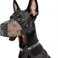 Dog Muzzle for Small Large Dogs - Soft Nylon Basket Muzzle with Adjustable Strap, Breathable Mesh Design Prevents Biting Chewing Licking Eating - Ideal for Training, Grooming & Vet Visits (Yellow, XL)