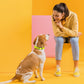Dogline Biothane Waterproof Dog Collar Strong Coated Nylon Webbing with Black Hardware Odor- Proof for Easy Care Easy to Clean High Performance Fits Small Medium or Large Dogs, Safety Yellow