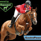 GastroPower Digestible Free Fatty Acid Feed Concentrate for Horses