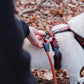 MADE TO ROAM Premium Explorer Harness - Y-Shaped Dog Harness with Adjustable Durable Nylon, Soft Padding, Metal Buckles and Leather Handle for Small, Medium, Large Dogs (Carolina Blooms, Size 6)