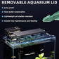 3 Gallon Fish Tank Aquarium Kit with Filter, LED Light with Timer, Siphon Vacuum Cleaner, Lid, Self-Cleaning Glass Rimless Betta Tank