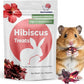 Snout and Shell Hibiscus Treats – 100% Natural Dried Flowers for Small Pets – Immunity Support & Antioxidants – Healthy Snack for Rabbits, Guinea Pigs, & Chinchillas (1 oz)