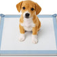SureGrip Pee Pad Holder - Fits All Common Pad Sizes, 100% of Urine Stays on Pad, Built-in Lock & Release Pad Grips Secure Pad to Holder, Holder Can Secure to Floor, No Sliding or Folding