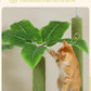PEQULTI Tall Cat Tree, Floor to Ceiling Cat Tree Tower Adjustable [90.5''-100.4''=230-252CM] with Cat Condo, Cat Hammock and Scratching Post, Climbing Tree for Indoor Large Cats, Green
