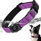 Reflective Air Tag Dog Collar - 100% Waterproof Dog Collar AirTag Holder | Extra-Durable, Soft Padded AirTag Dog Collars for Small Medium Large Dogs