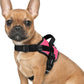 rabbitgoo Dog Harness for Small, Easy On Pet Vest with One Buckle, No Pull Adjustable Service Harness with D-Ring & Handle, Reflective for Safety Walking, Training, Pink, S