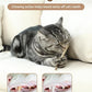 Tocirelo Catnip Toys Silvervine Sticks - 12Pack Natural Cat Chew Toys for Bored Indoor Cats Teeth Cleaning, Matatabi Sticks Treats with Feather and Bell, Kitten Teething Calming Products