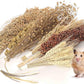 Hamster Spray Set - Natural Snack Grains & Chew Toys for Cage Decoration Accessories, Soft Bedding for Dwarf Syrian Hamsters, Gerbils, Mice & Small Pets