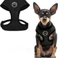 BINGPET Small Dog Harness - Breathable Mesh Puppy Cat Harnesses - No Pull Adjustable Dog Harness Dog Vest Harness for Small and Medium Dogs